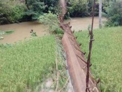 Sedang Kegiatan Pramuka, 9 Siswa SMP Cijaku Jatuh dari Atas Jembatan Gantung