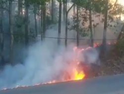 Dua Hektare Lahan Perhutani di Lebak Terbakar