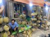 Gang Kibun, Destinasi Berburu Durian di Rangkasbitung