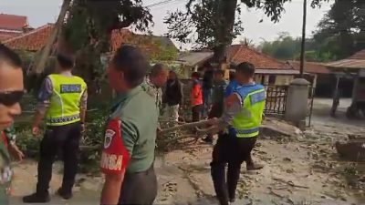 Pohon Beringin Tumbang, lima Jam Lalu Lintas Terganggu